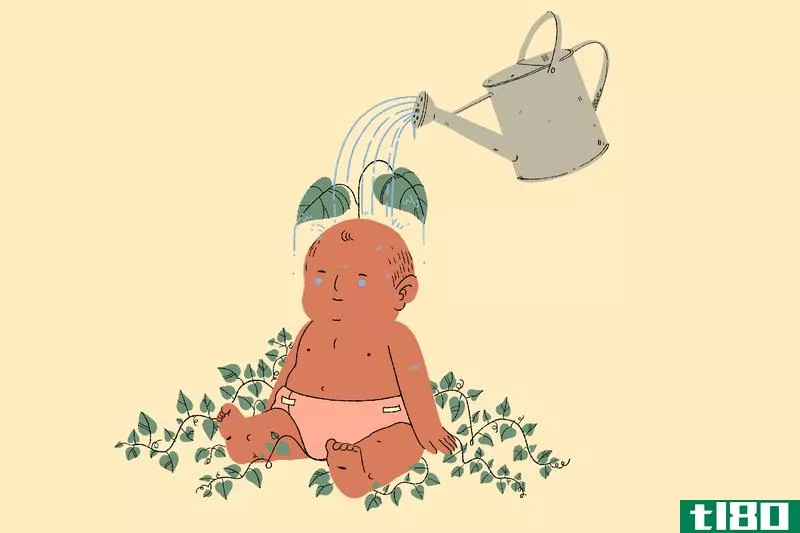 Illustration for article titled How to Raise a Healthy Vegan Kid