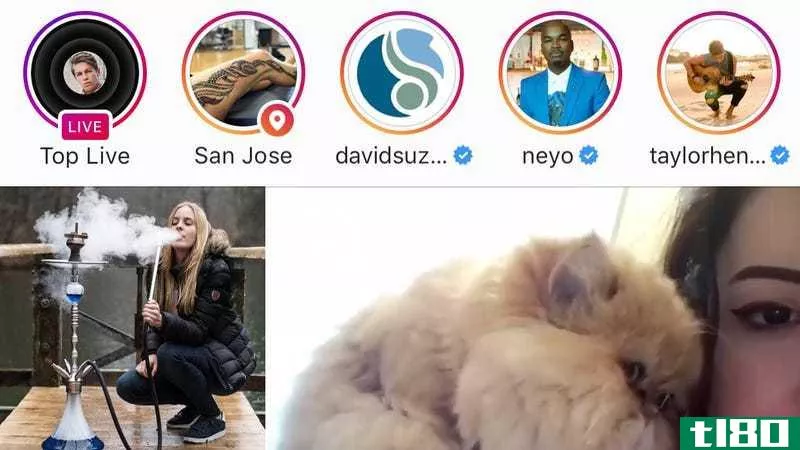 Yes, Instagram, I’d like some fresh hookah with one fuzzy cat, please. And Neyo.