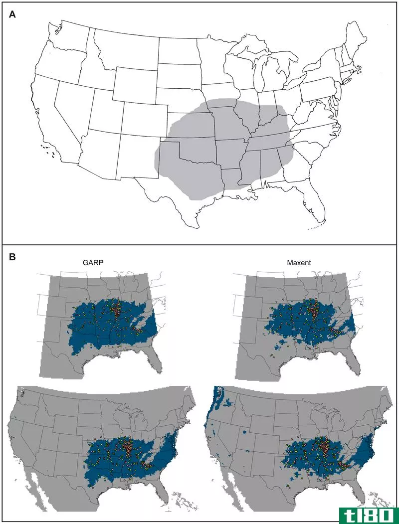 Top: the range of the brown recluse, Loxosceles reclusa. Bottom: several surveys aiming to pinpoint the exact range.