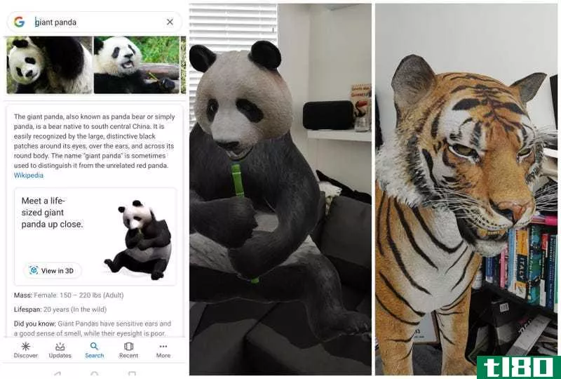 Illustration for article titled Bring a Life-Sized AR Panda, Goat, or Bear Into Your Home With This New Google Search Feature