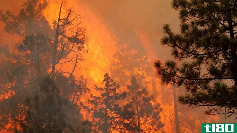 西部近150万英亩的土地正在燃烧：你现在需要知道什么