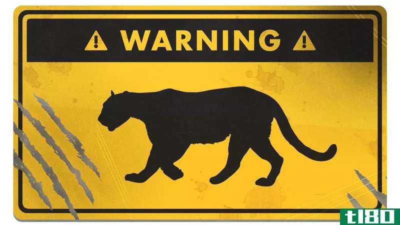 Illustration for article titled How to Survive a Mountain Lion Attack