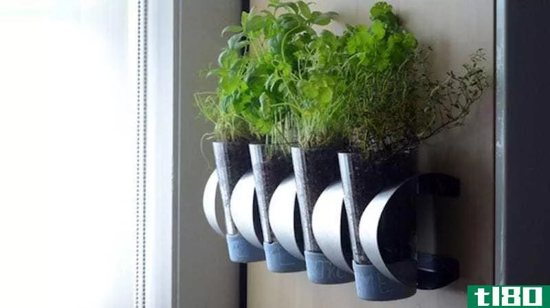 Illustration for article titled Turn an IKEA Wine Rack Into a Wall-Mounted Herb Garden