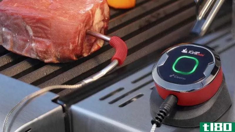 iGrill Smartphone-Connected Meat Thermometer, $24 | iGrill 2, $60