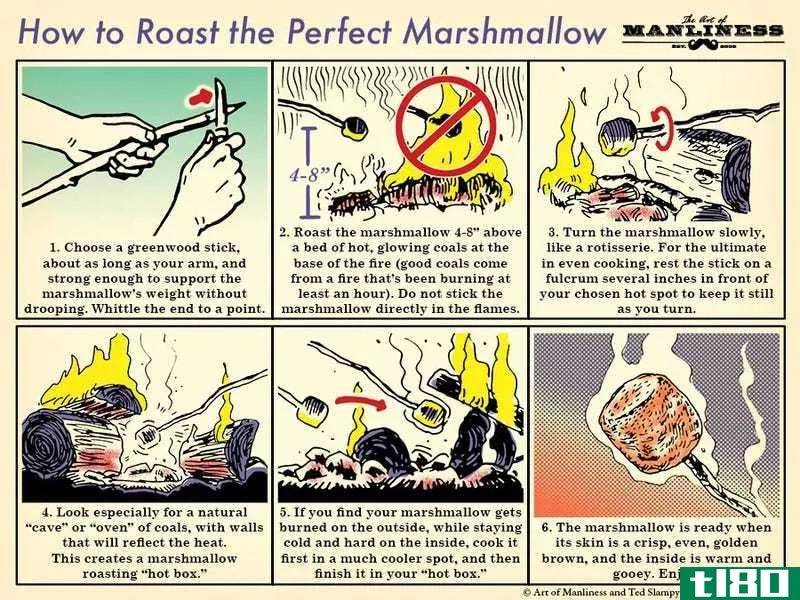 Illustration for article titled Roast the Perfect Marshmallow With This Handy Graphic