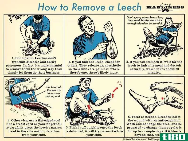 Illustration for article titled Learn to Remove a Leech With This Handy Chart