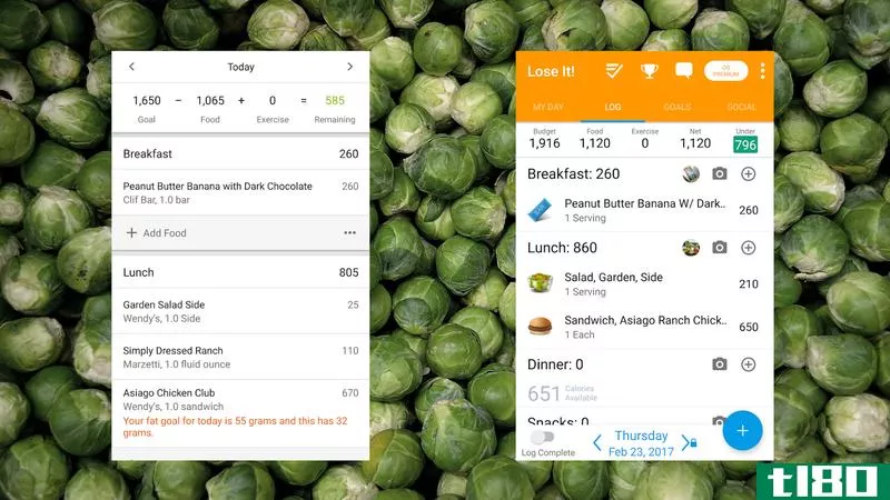 Illustration for article titled Diet Tracker Showdown: MyFitnessPal vs. Lose It