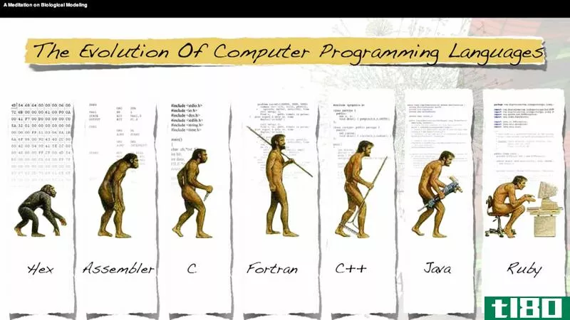 学习四种编程语言的基础知识以进入早期的编码阶段