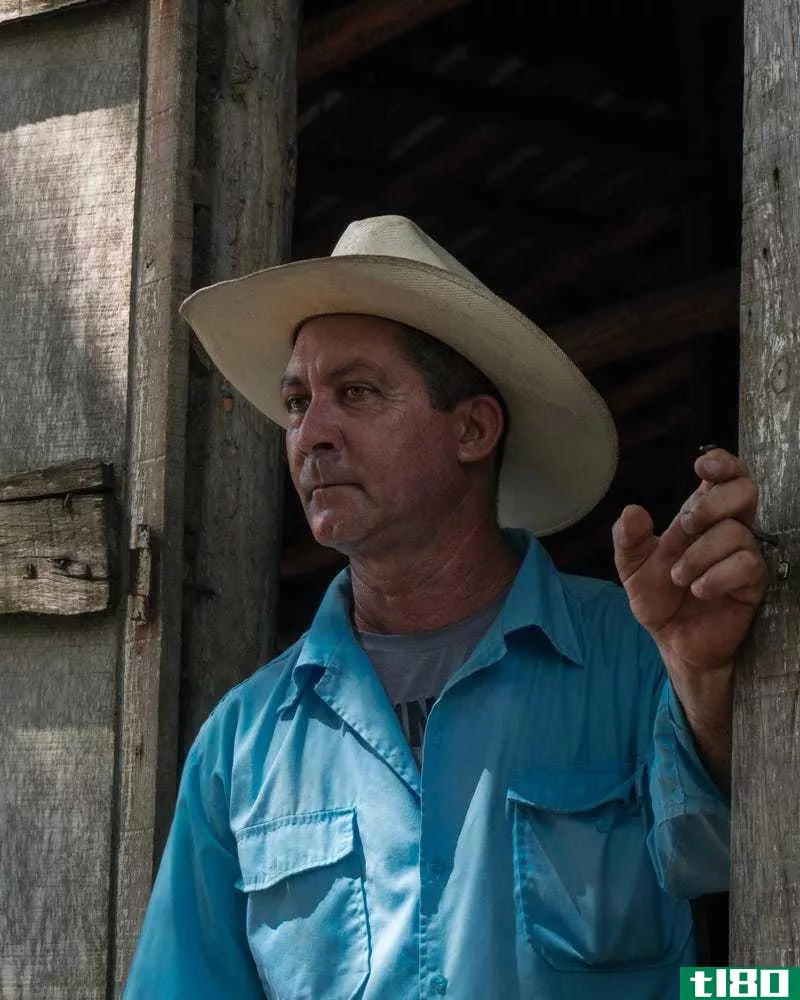 Tobacco farmer getting ready to roll some cigars.