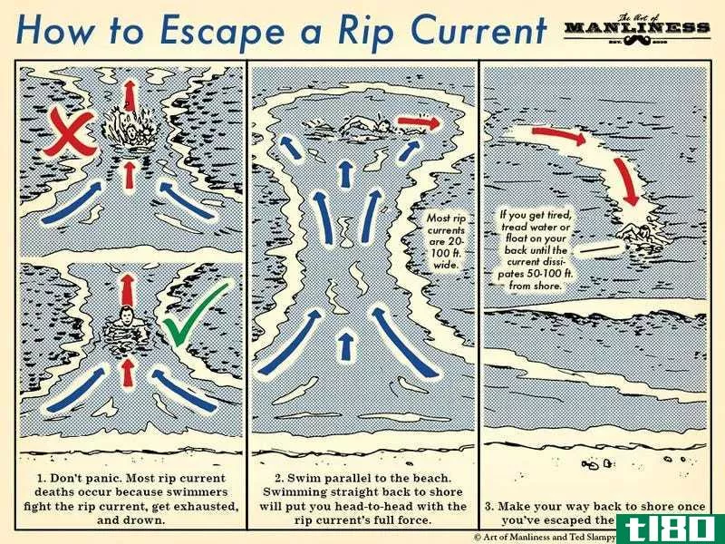 Illustration for article titled Learn How to Escape a Rip Current With This Handy Illustrated Guide