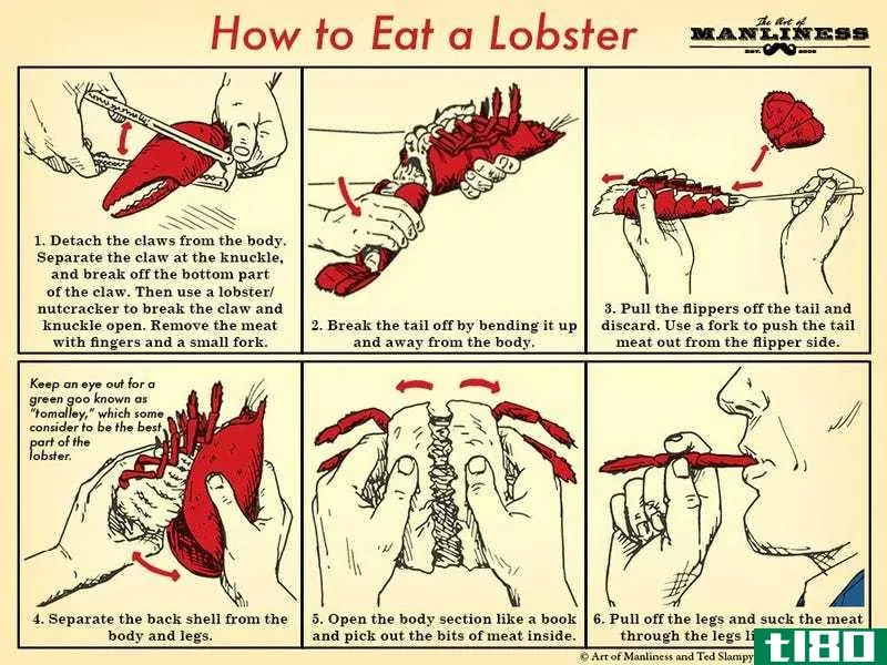 Illustration for article titled Eat a Lobster the Right Way With This Handy Chart