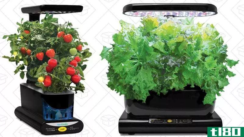 Miracle-Gro AeroGarden Sprout, $45 | Miracle-Gro AeroGarden Harvest Touch with Gourmet Herb Seed Pod Kit, $100