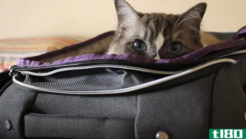 用“行李审核”停止旅行过度包装