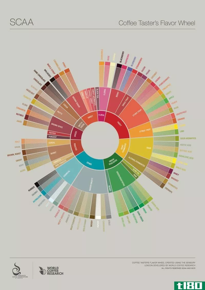 Illustration for article titled Explore the Flavors in Your Coffee with This Tasting Wheel