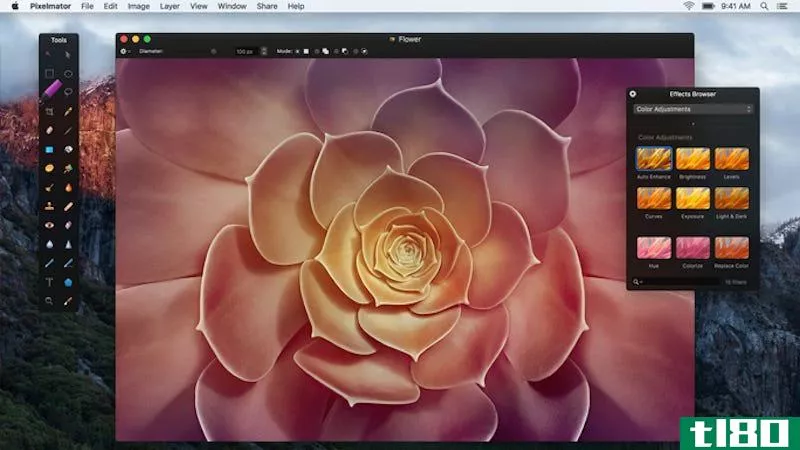 Illustration for article titled Pixelmator Adds Photos Extension and Split Screen Support