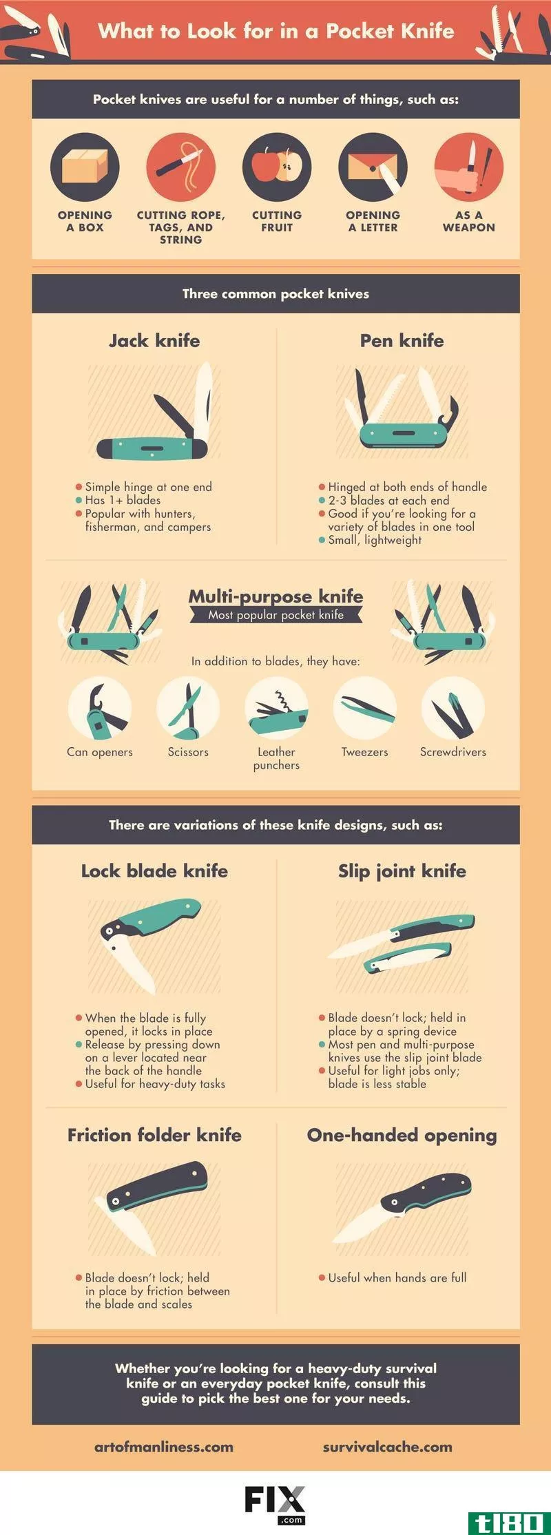 Illustration for article titled This Infographic Shows You What to Look for in a Pocket Knife