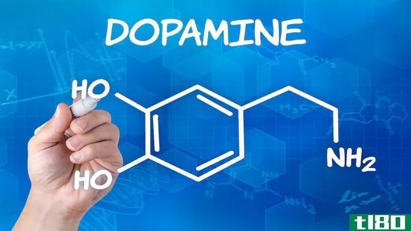 如何利用你大脑的多巴胺供应和增加动力
