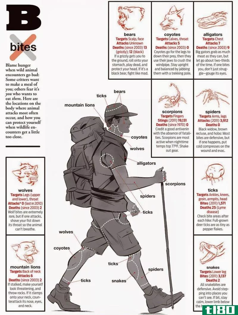 Illustration for article titled This Infographic Shows How to Prevent Bites from Dangerous Animals
