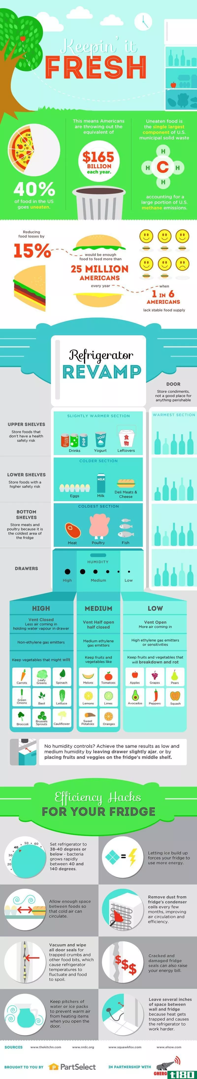Illustration for article titled This Infographic Shows You How to Organize Your Fridge