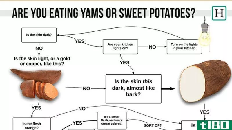 Illustration for article titled This Flowchart Shows You If You&#39;re Eating a Yam or a Sweet Potato