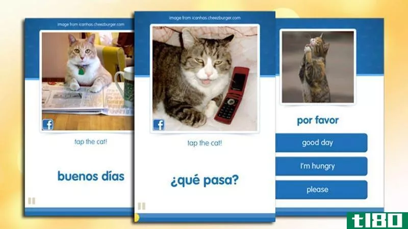 卡塔卡迪教你一门外语和有趣的猫照片