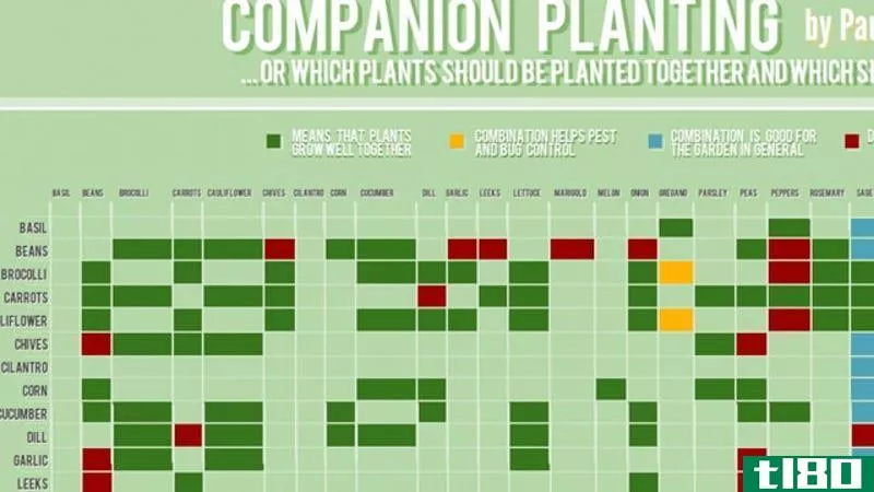 Illustration for article titled This Chart Shows Which Plants Grow Well Together (and Which Don&#39;t)