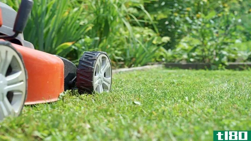你应该多久修剪一次正在生长的草坪？
