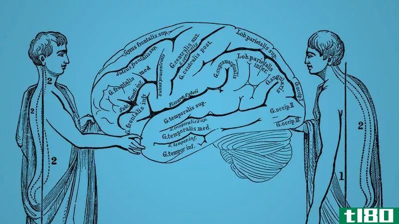 姿势背后的科学以及它如何影响你的大脑
