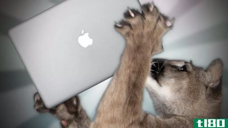 Illustration for article titled How to Prepare Your Mac for Mountain Lion