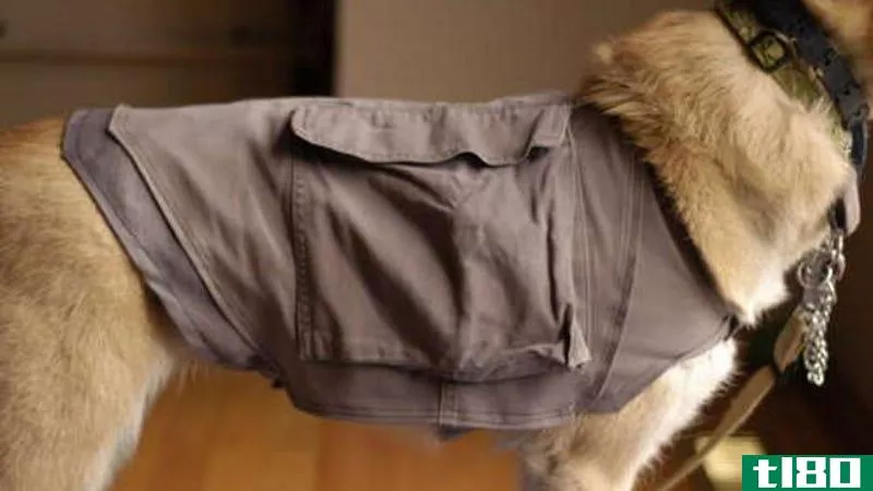 Illustration for article titled Hack an Old Pair of Cargo Pants Into a Dog Cooling Vest