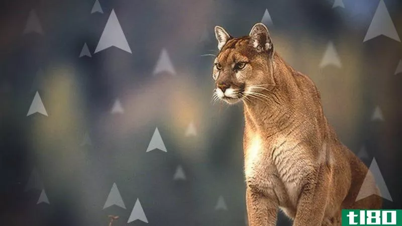 Illustration for article titled Should I Upgrade to Mountain Lion?