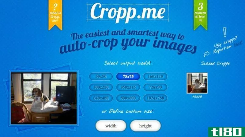 crop.me会自动联机裁剪多个图像
