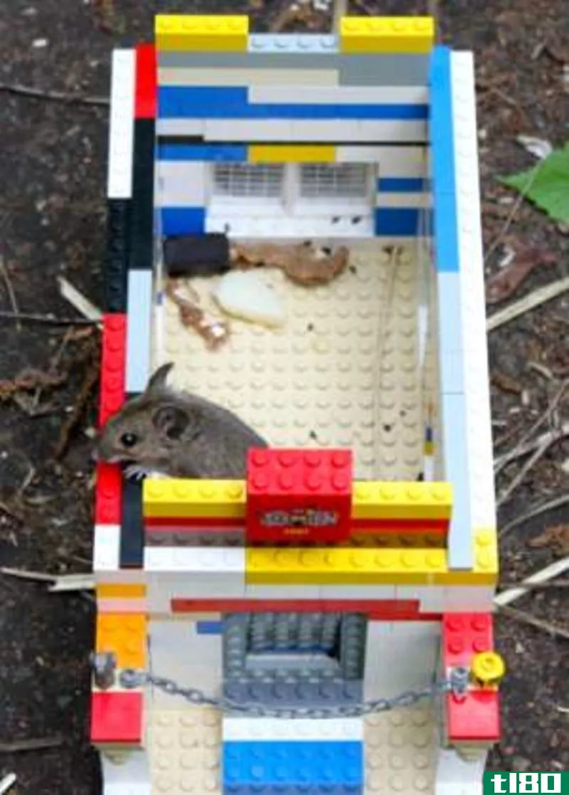 Illustration for article titled MacGyver Challenge Winner: Build a Better Mouse Trap with LEGO