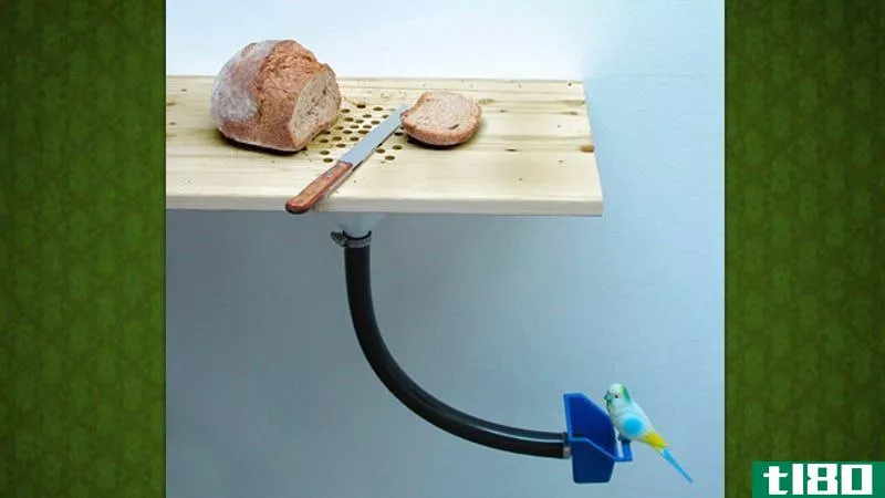 Illustration for article titled DIY Cutting Board Bird Feeder Disposes of Your Old Crumbs