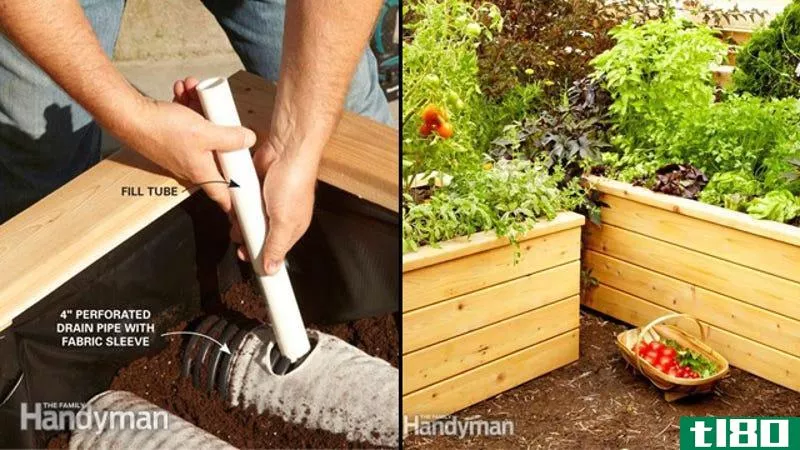 用这些自动浇水的播种机使你的菜园自动化