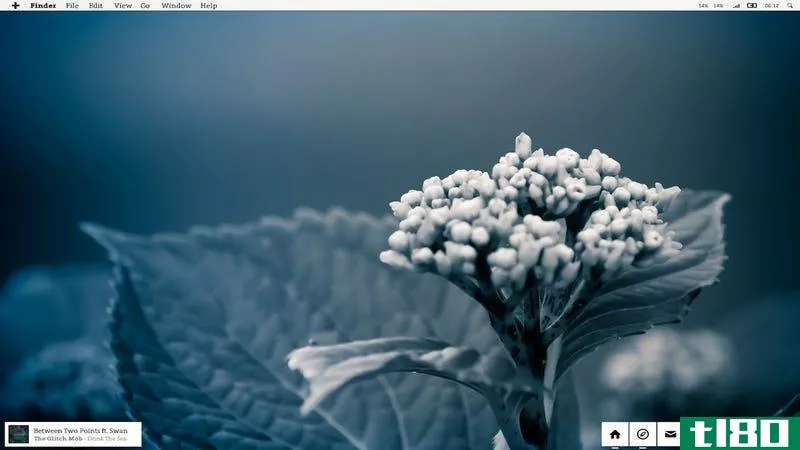 Illustration for article titled The Winter Bloom Desktop