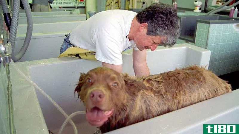 尽量减少脱落添加织物柔软剂到您的狗的浴缸