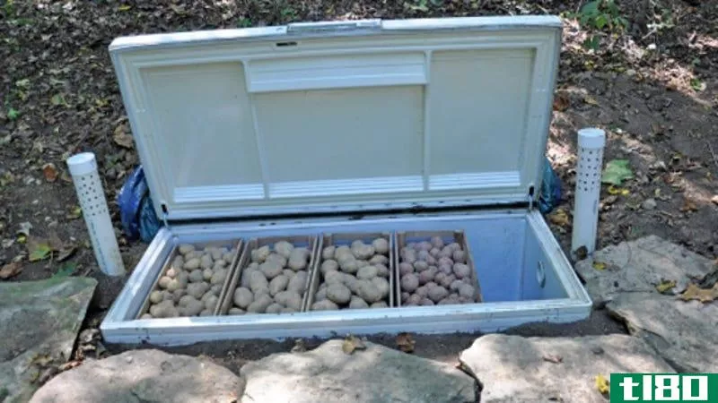 Illustration for article titled Turn a Dead Chest Freezer Into a Miniature Root Cellar