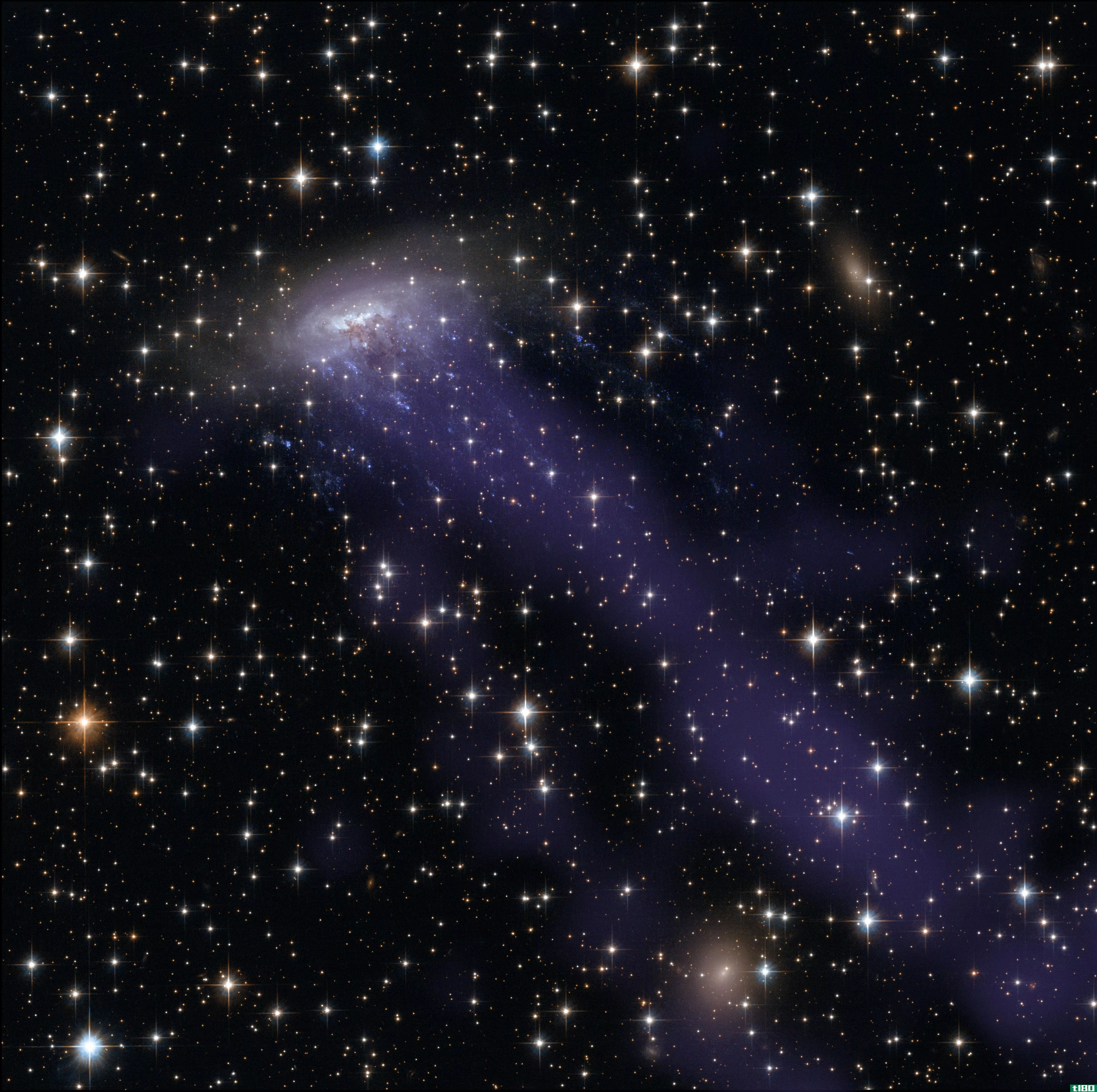 水母星系的触角是如何喂养超大质量黑洞的
