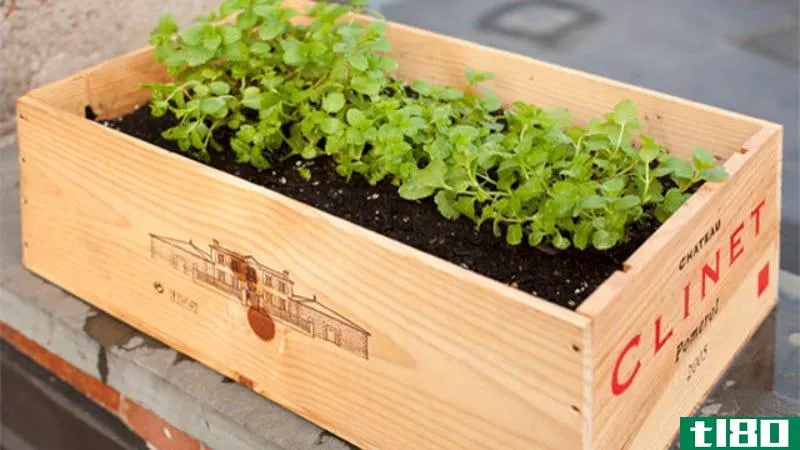 Illustration for article titled Repurpose a Wooden Wine Crate Into a Planter