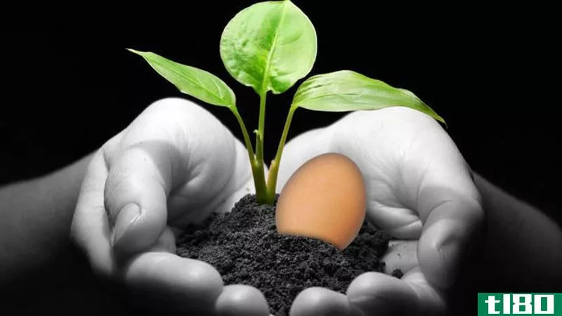 Illustration for article titled Keep Your Plants Healthier with Egg Shells and Hard-Boiled Egg Water
