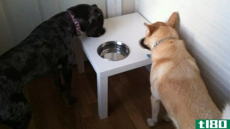 把宜家的一张桌子改成狗餐桌