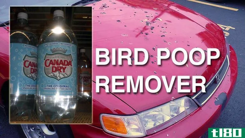 Illustration for article titled Remove Bird Droppings from Your Car with Seltzer Water