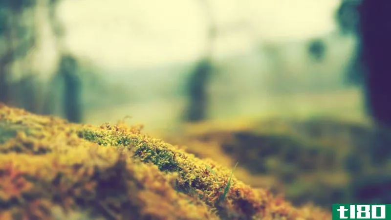 Illustration for article titled Miniaturize Your Desktop with These Tilt-Shift Wallpapers