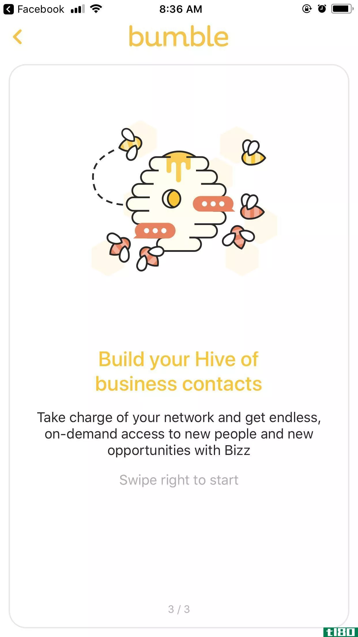 bumble推出bizz，一种新的职业网络模式