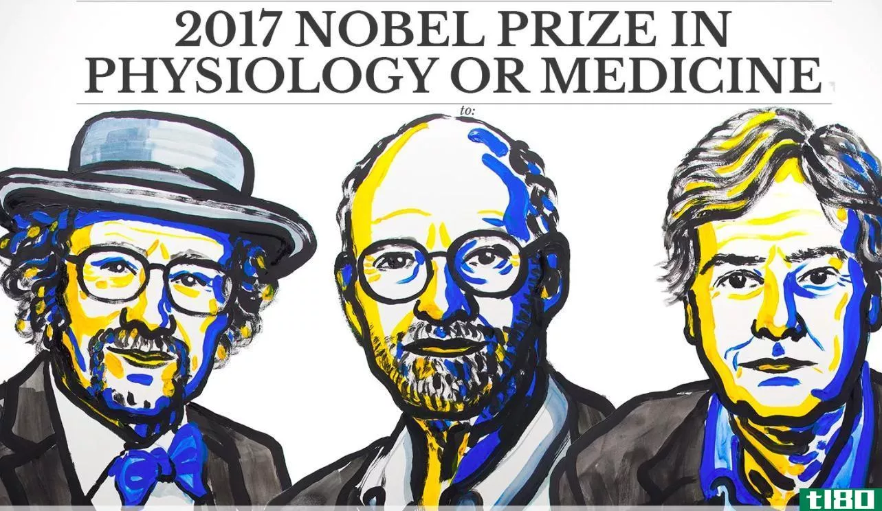 三位科学家因发现调节生物钟的基因而获得诺贝尔医学奖