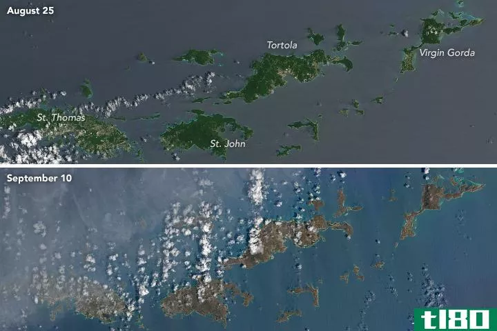 飓风“厄玛”摧毁了太多的植物，这些加勒比海岛屿已经变色