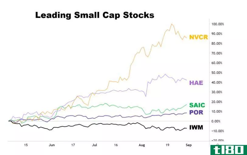 Chart showing the performance of leading **all-cap stocks