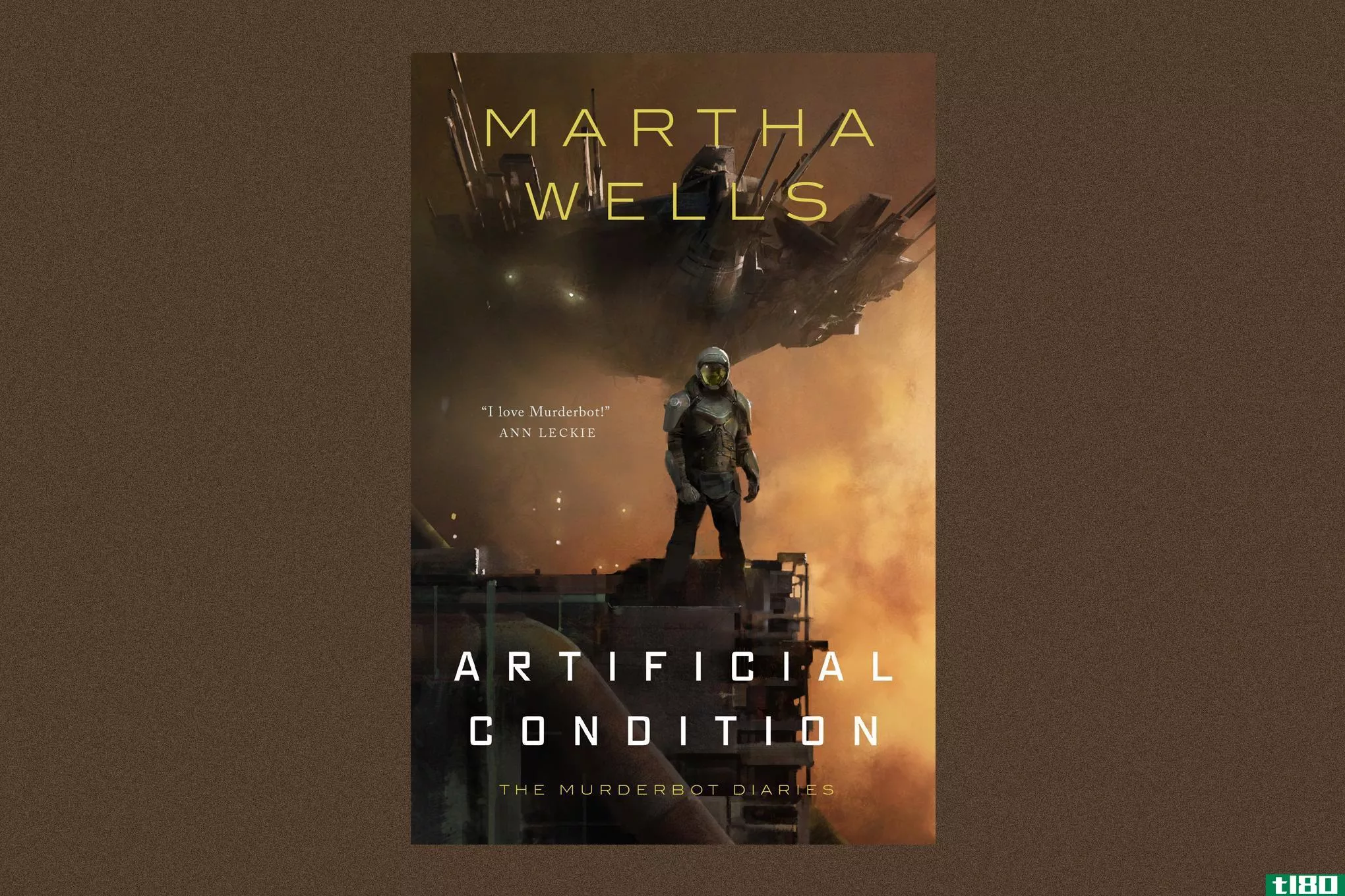 科幻作家玛莎·威尔斯（marthawells）写了一系列关于一个自称为“杀人机器人”的机器人的故事