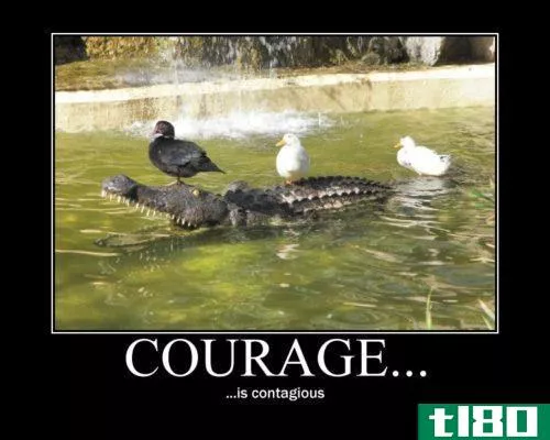 勇气(courage)和勇敢(bravery)的区别
